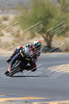 media/May-14-2023-SoCal Trackdays (Sun) [[024eb53b40]]/Turn 5 Tree of Life (1125am)/